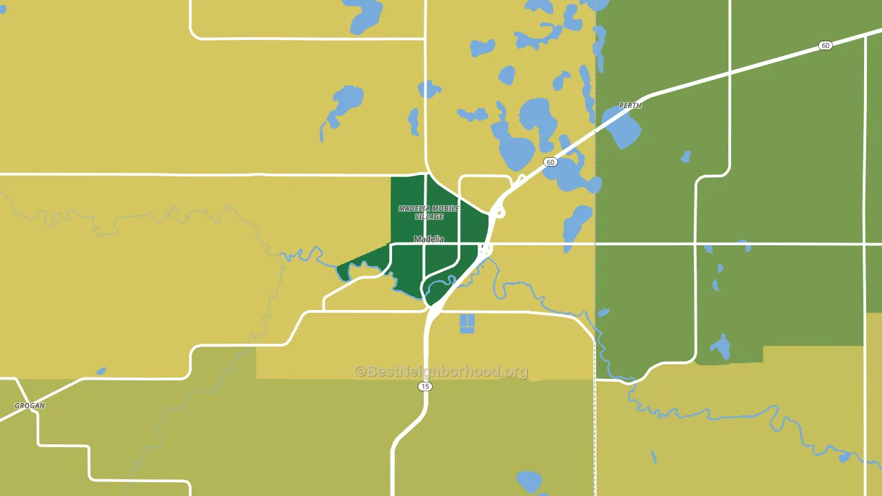 Madelia, MN block-group voter-turnout map