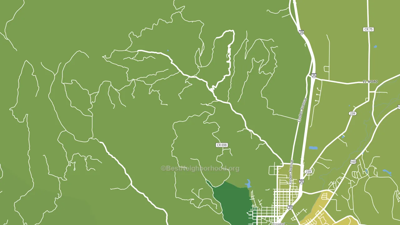 Madrid, CO block-group voter-turnout map