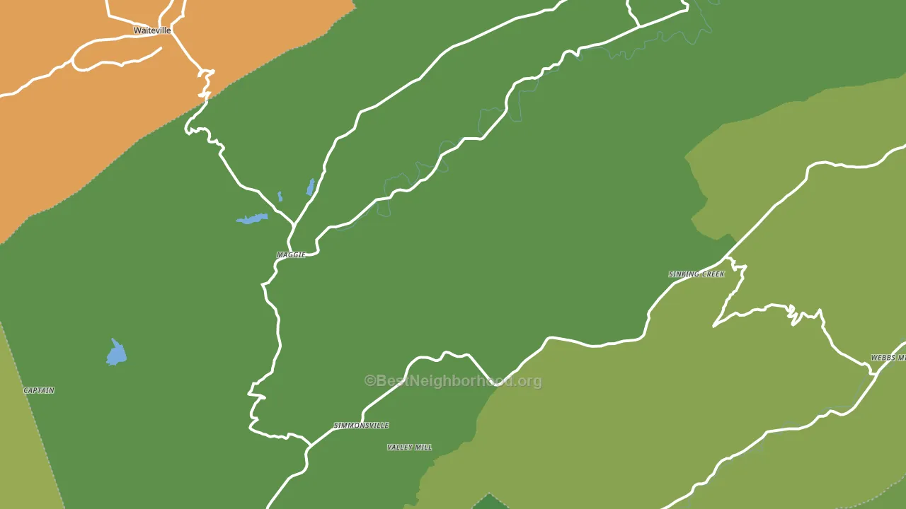 Maggie, VA block-group voter-turnout map
