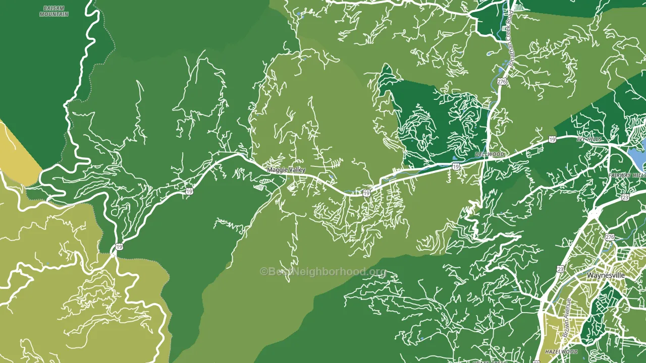 Maggie Valley, NC block-group voter-turnout map