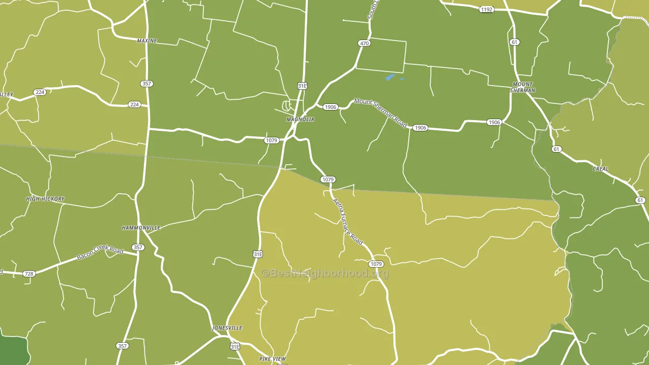 Magnolia, KY block-group voter-turnout map