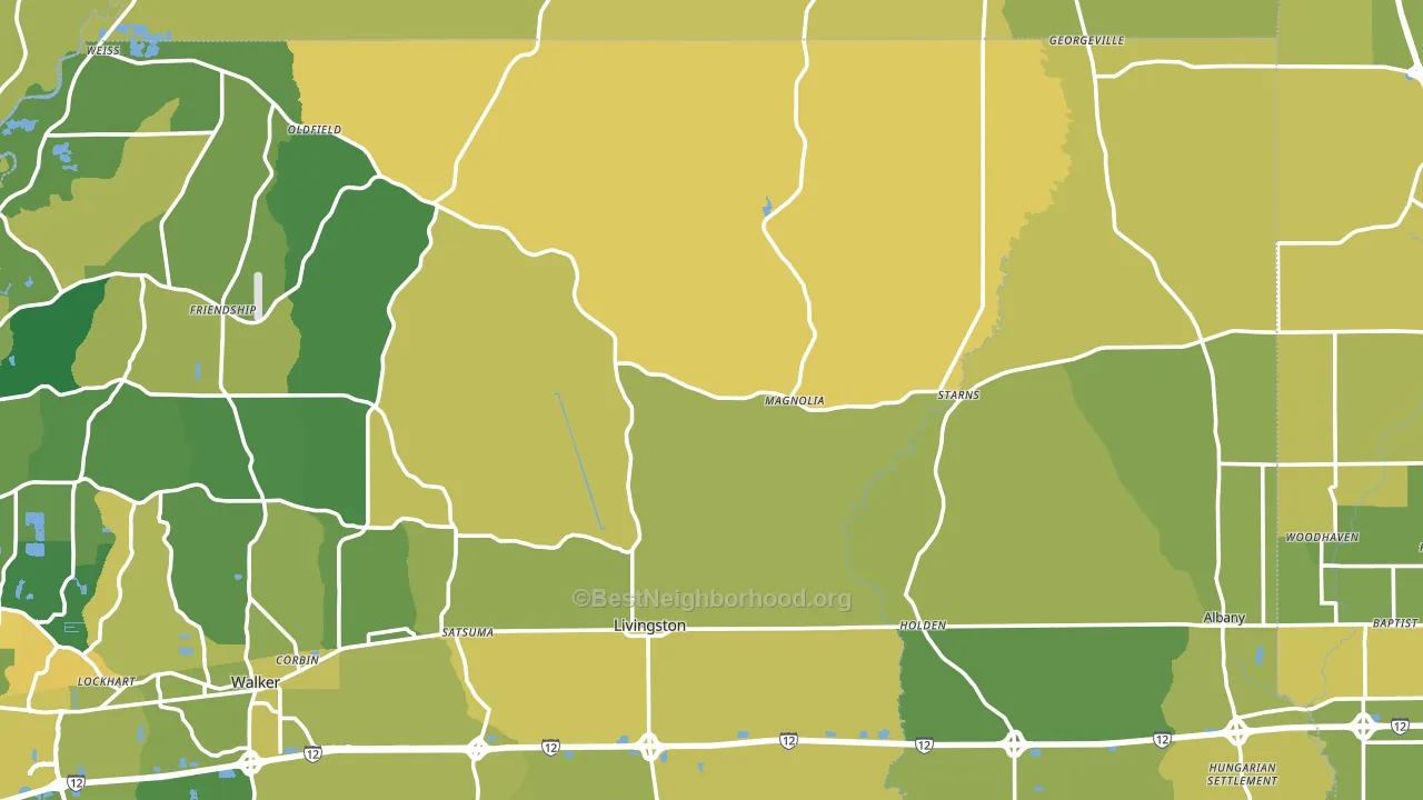 Magnolia, LA block-group voter-turnout map