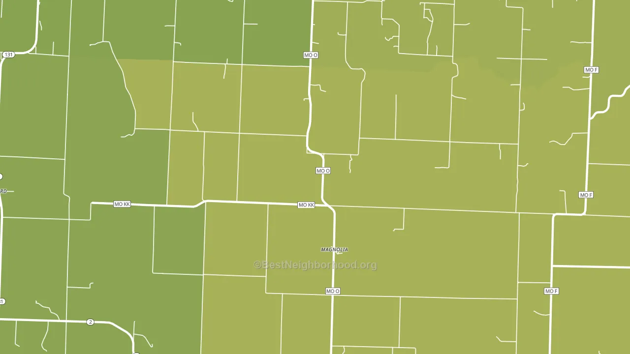 Magnolia, MO block-group voter-turnout map