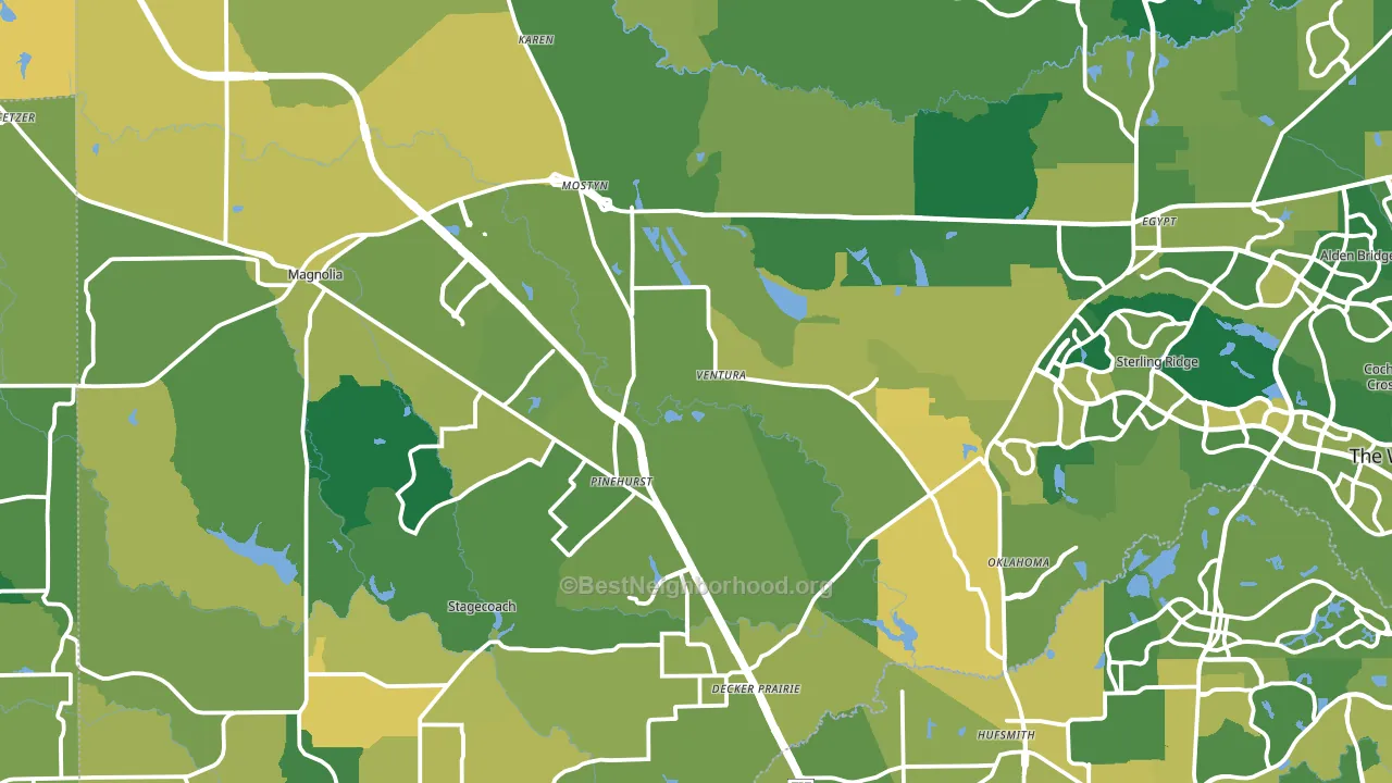 Magnolia, TX block-group voter-turnout map