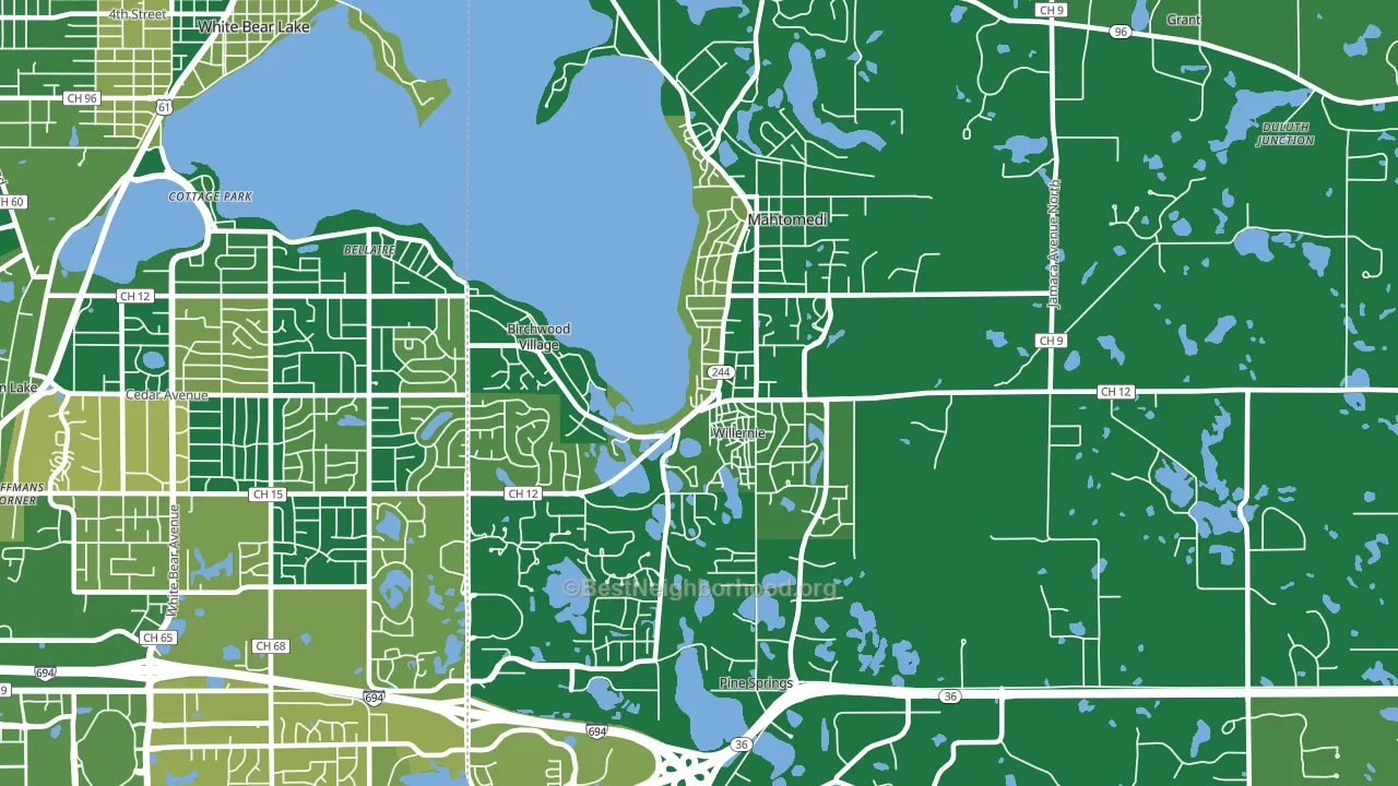 Mahtomedi, MN block-group voter-turnout map