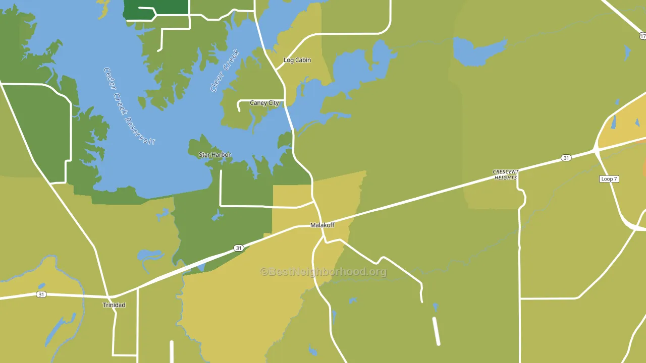Malakoff, TX block-group voter-turnout map