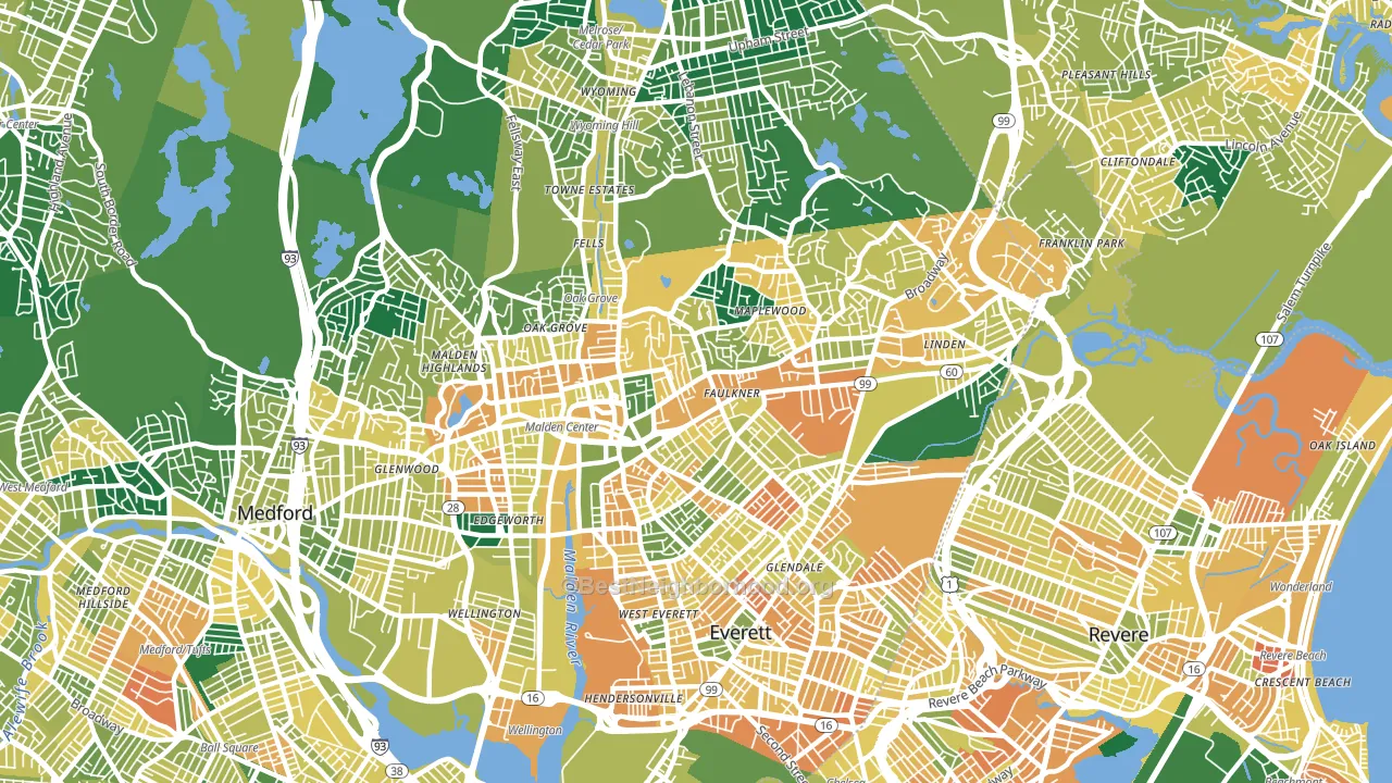 Malden, MA block-group voter-turnout map