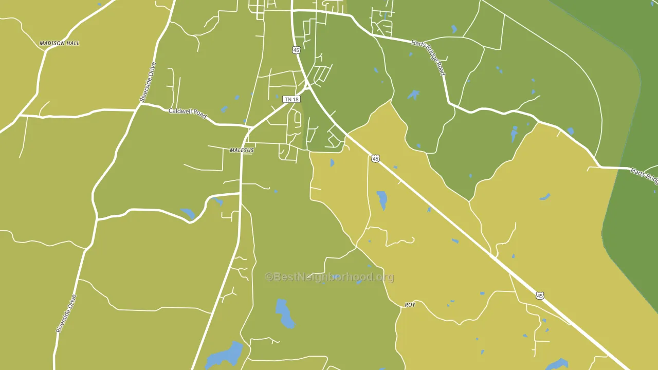 Malesus, TN block-group voter-turnout map
