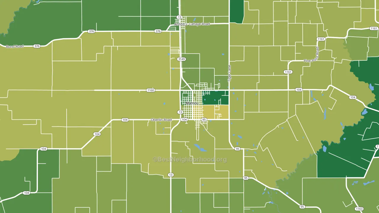 Mamou, LA block-group voter-turnout map