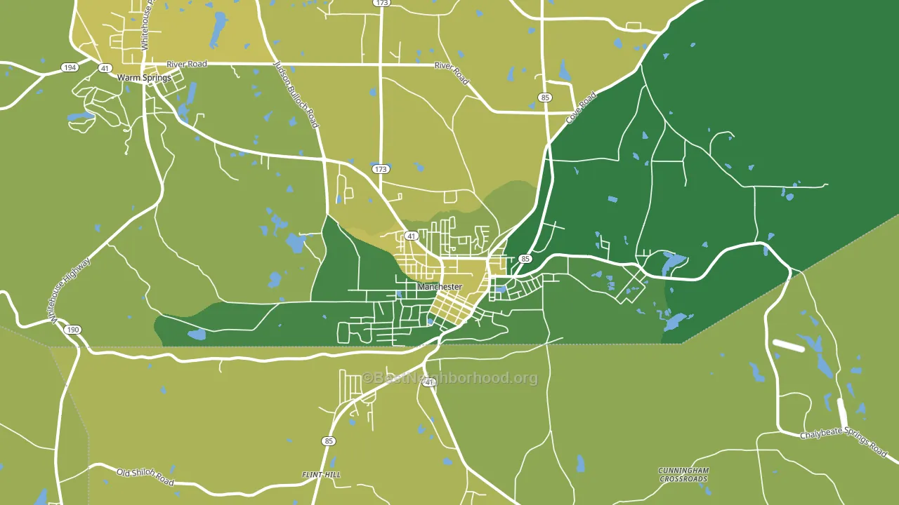 Manchester, GA block-group voter-turnout map