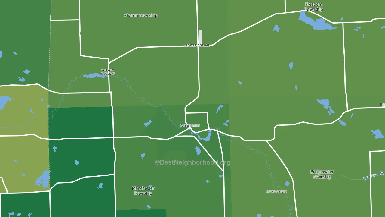 Manchester, MI block-group voter-turnout map
