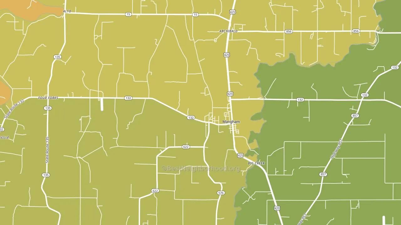 Mangham, LA block-group voter-turnout map