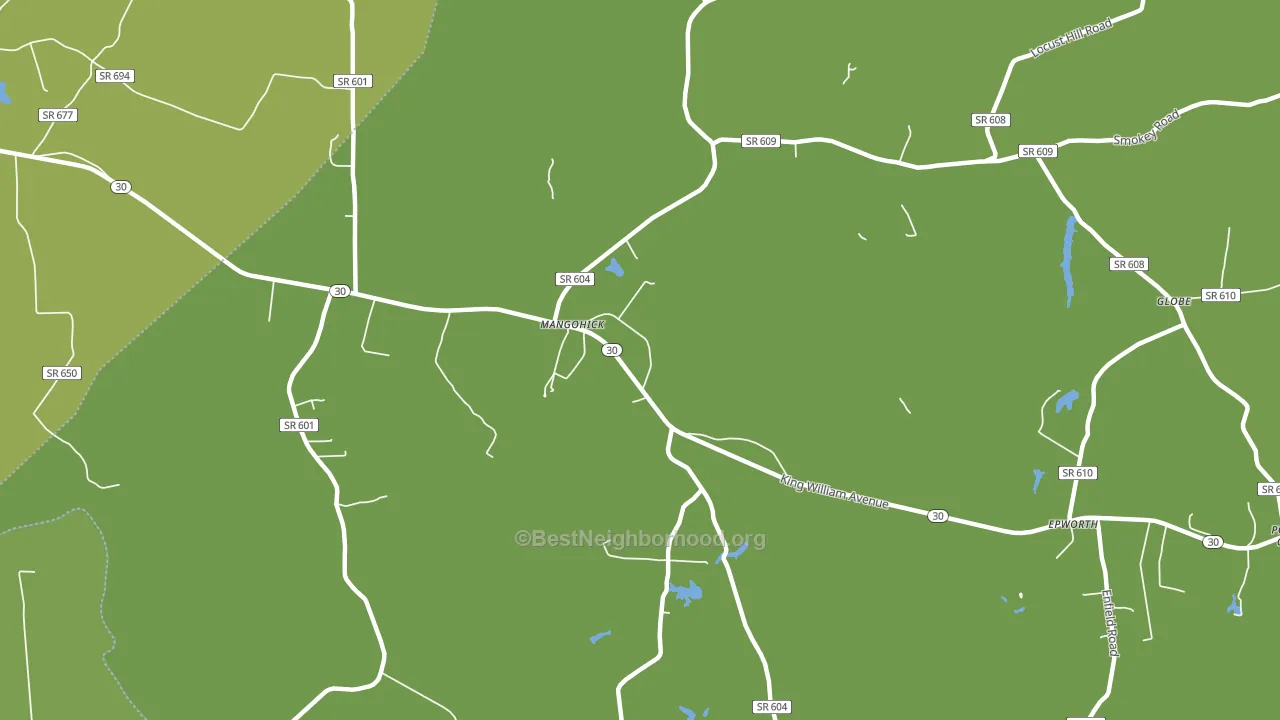 Mangohick, VA block-group voter-turnout map