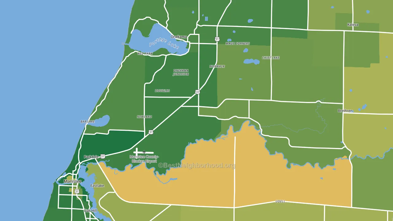 Manistee County, MI block-group voter-turnout map