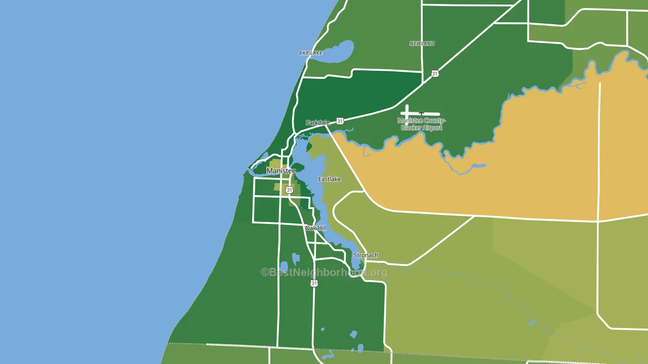 Manistee, MI block-group voter-turnout map