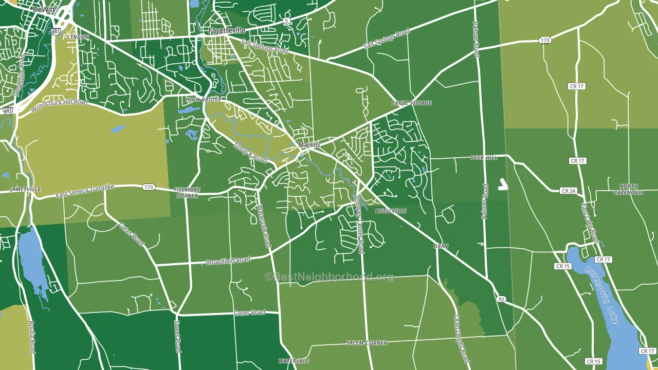 Manlius, NY block-group voter-turnout map