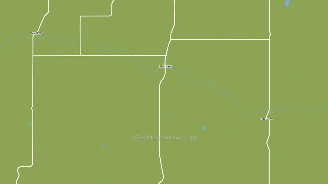 Manning, ND block-group voter-turnout map