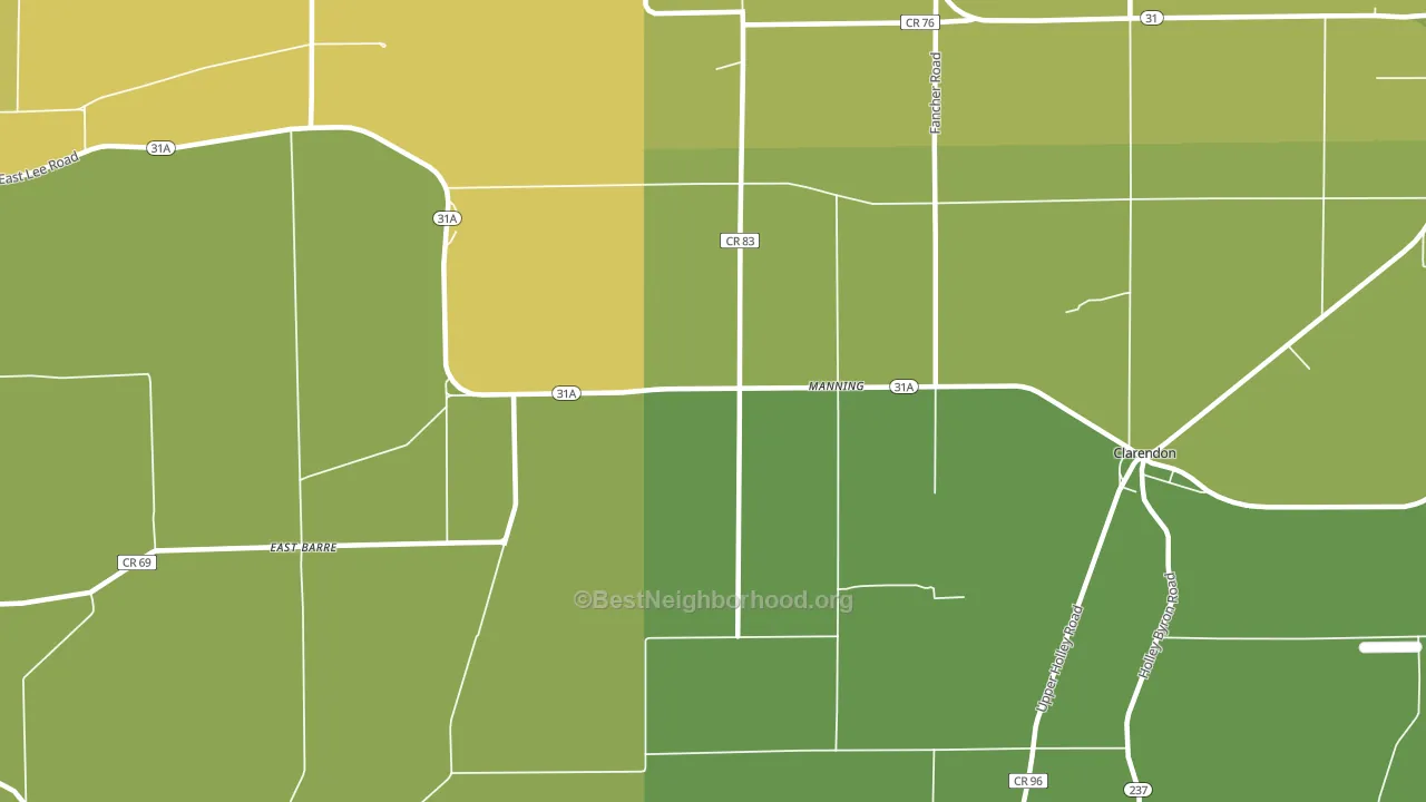 Manning, NY block-group voter-turnout map