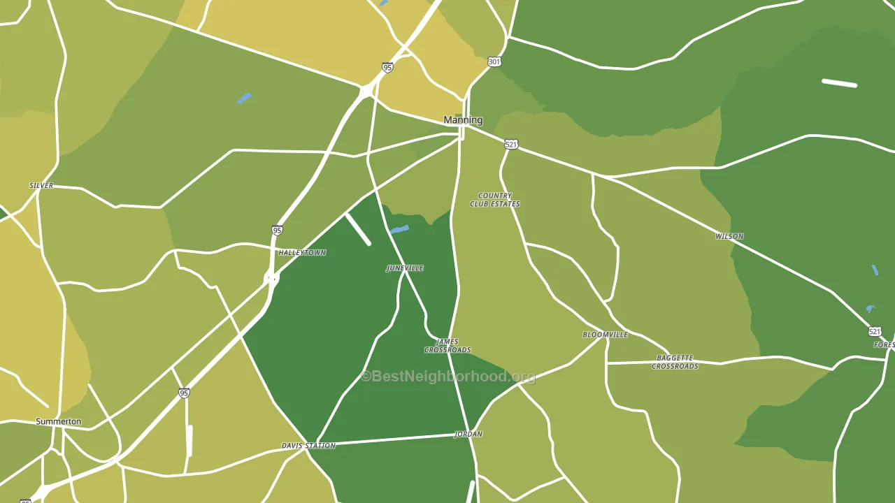 Manning, SC block-group voter-turnout map