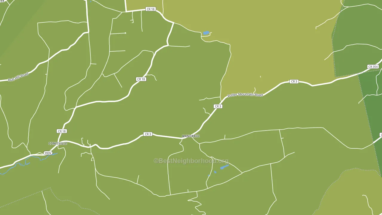 Manor Kill, NY block-group voter-turnout map