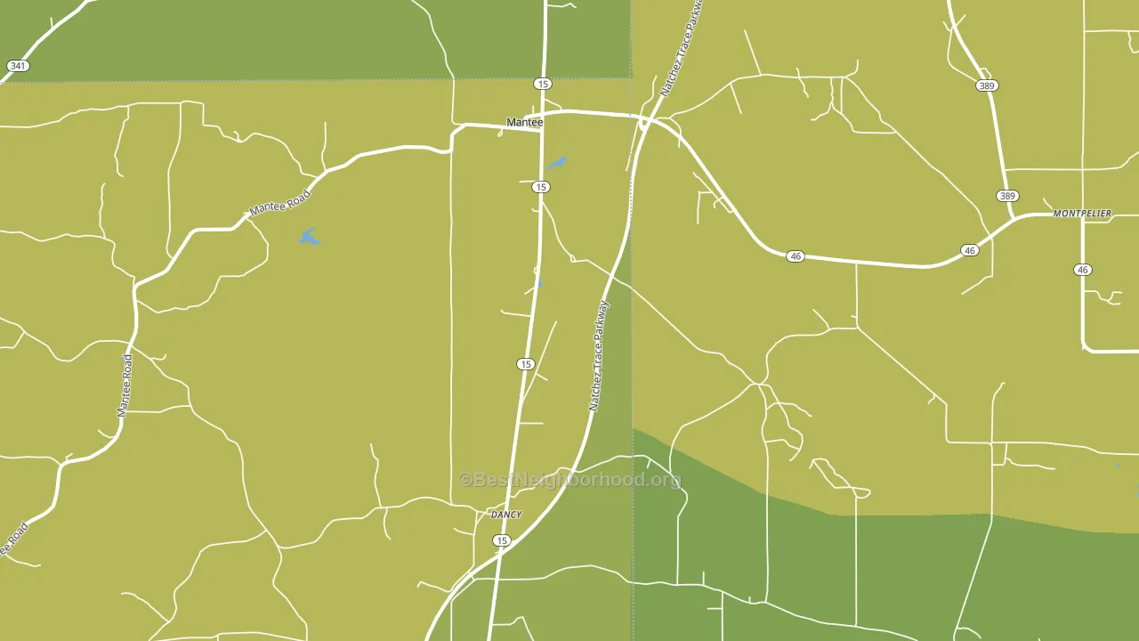 Mantee, MS block-group voter-turnout map