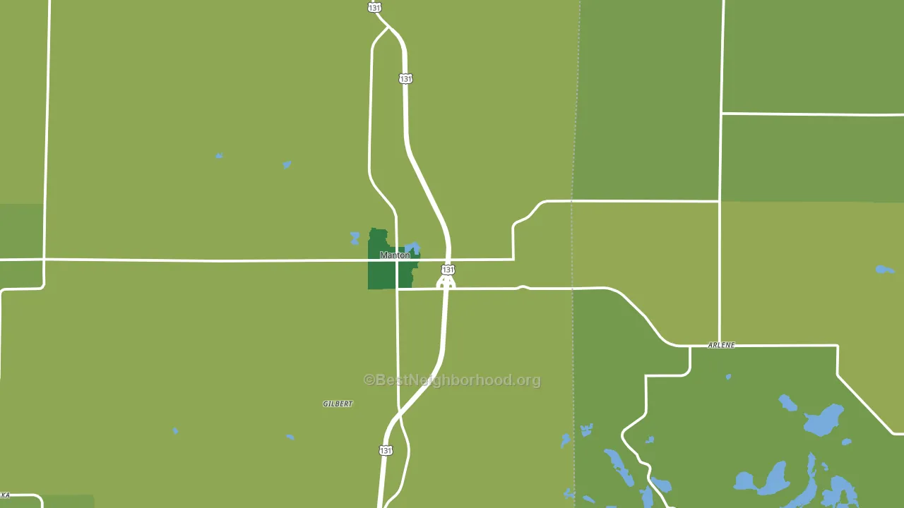 Manton, MI block-group voter-turnout map