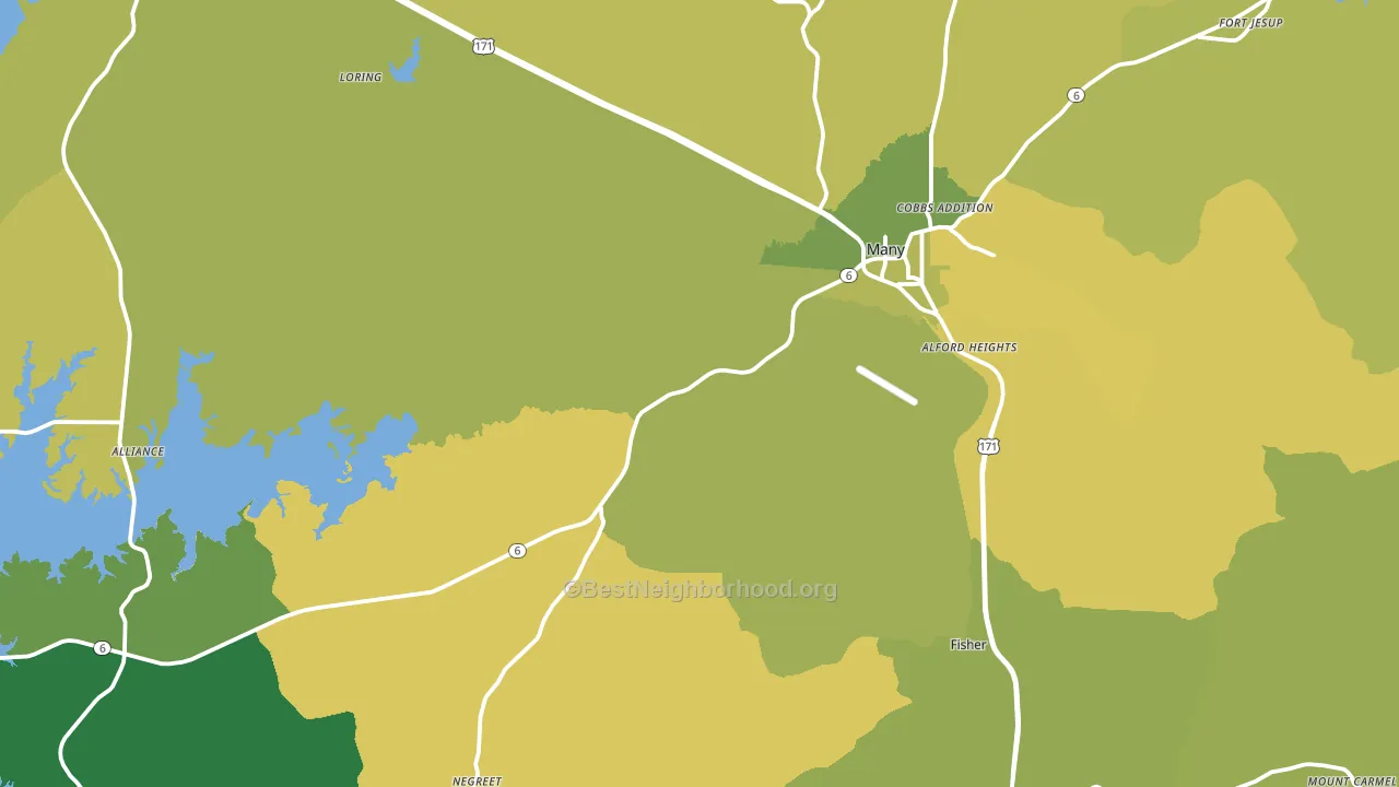Many, LA block-group voter-turnout map