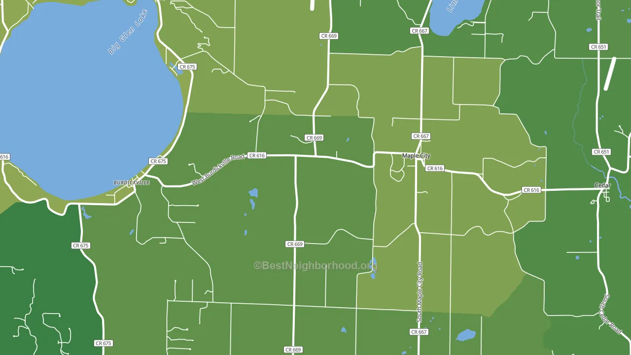 Maple City, MI block-group voter-turnout map