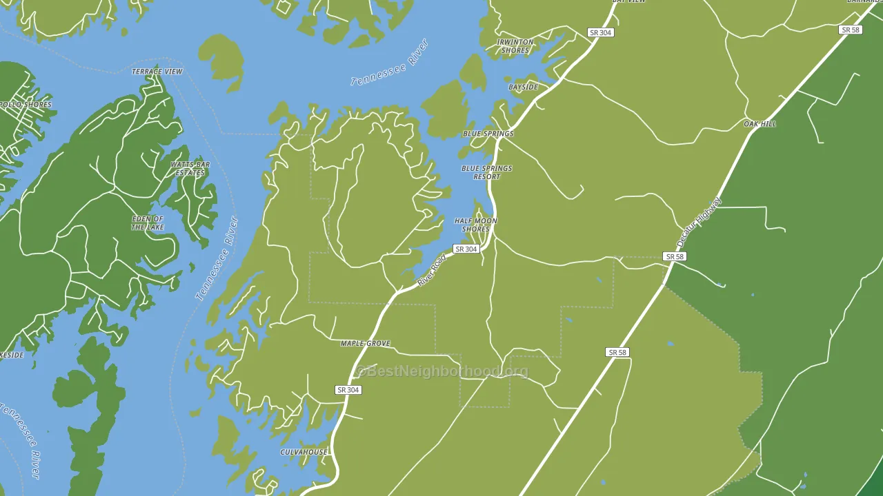 Maple Grove, TN block-group voter-turnout map