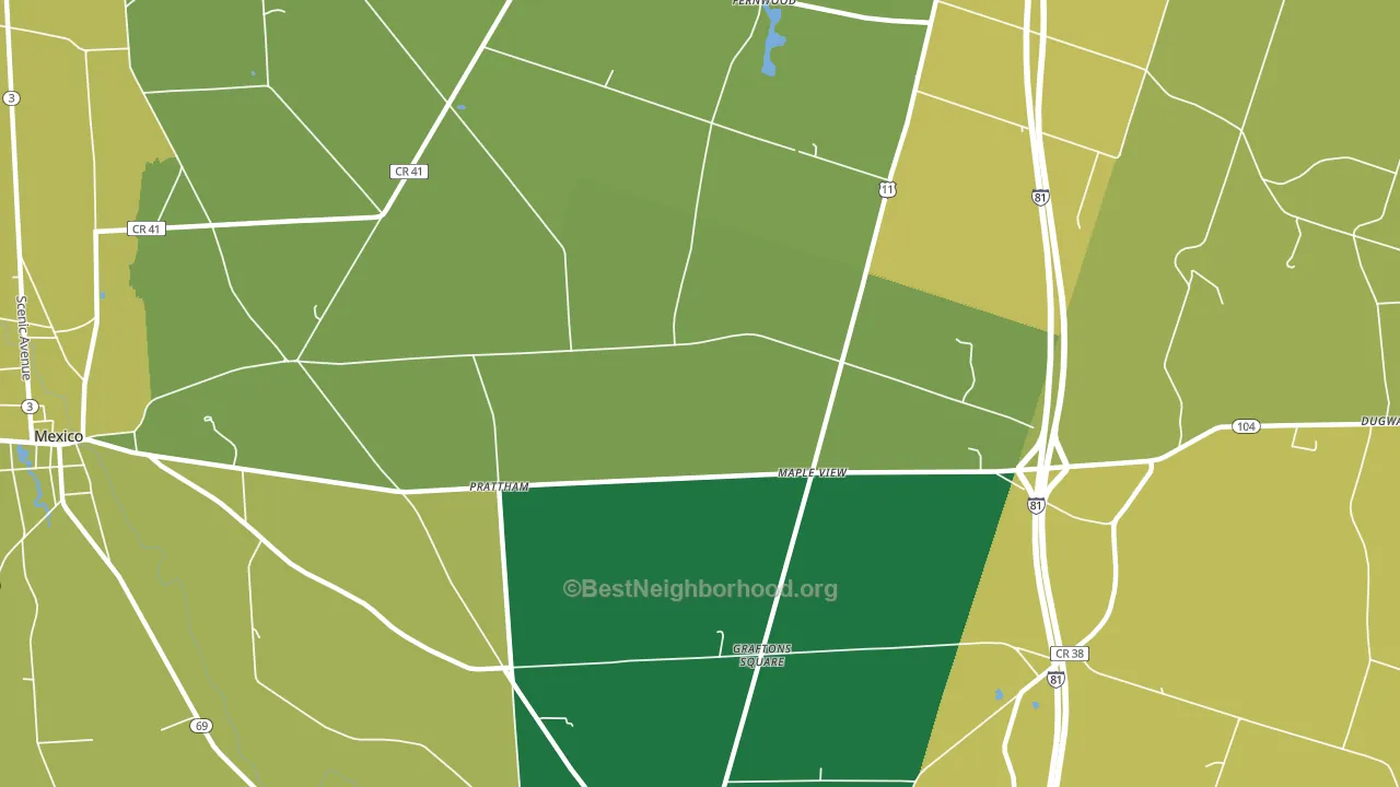 Maple View, NY block-group voter-turnout map