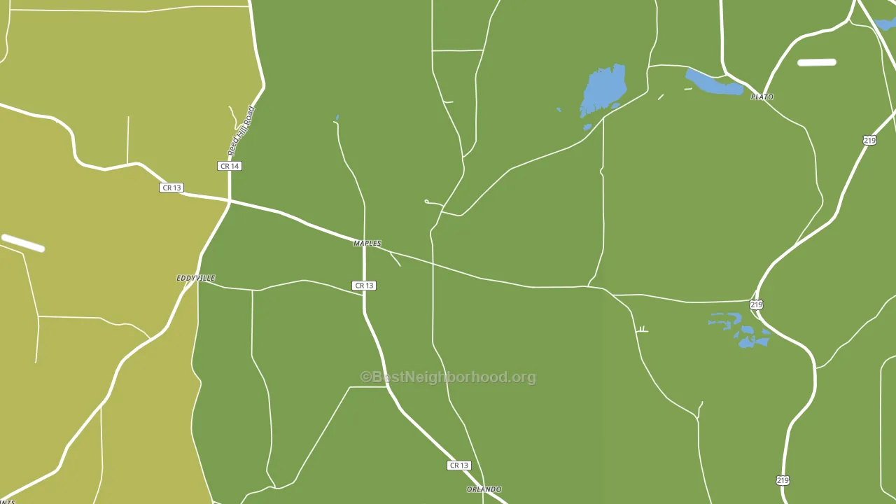 Maples, NY block-group voter-turnout map