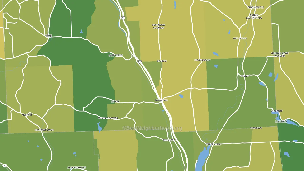 Marathon, NY block-group voter-turnout map