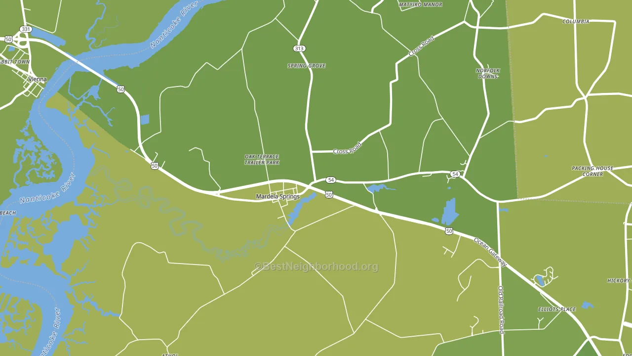Mardela Springs, MD block-group voter-turnout map