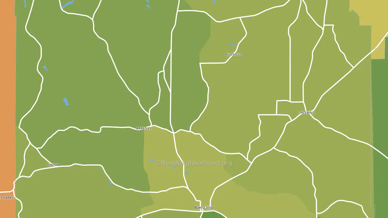 Marion County, GA block-group voter-turnout map