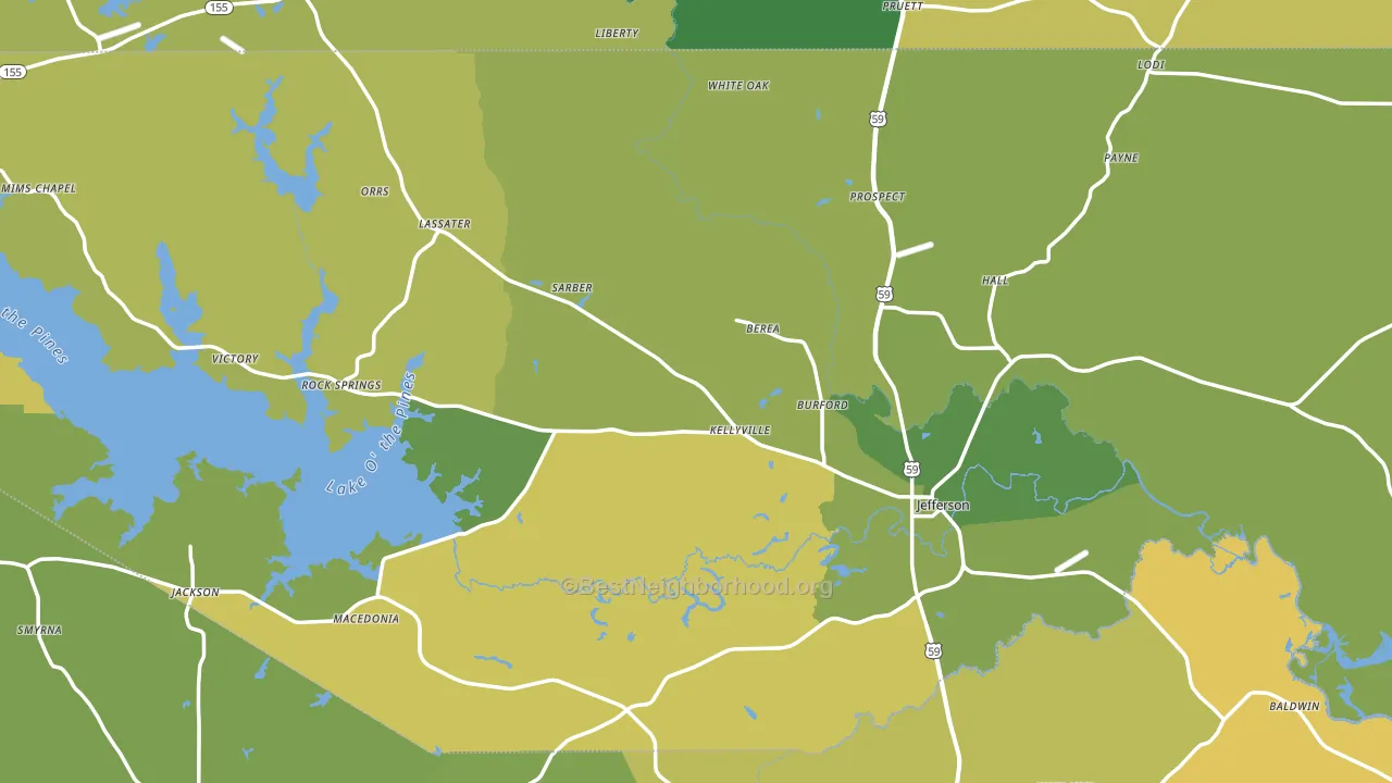 Marion County, TX block-group voter-turnout map