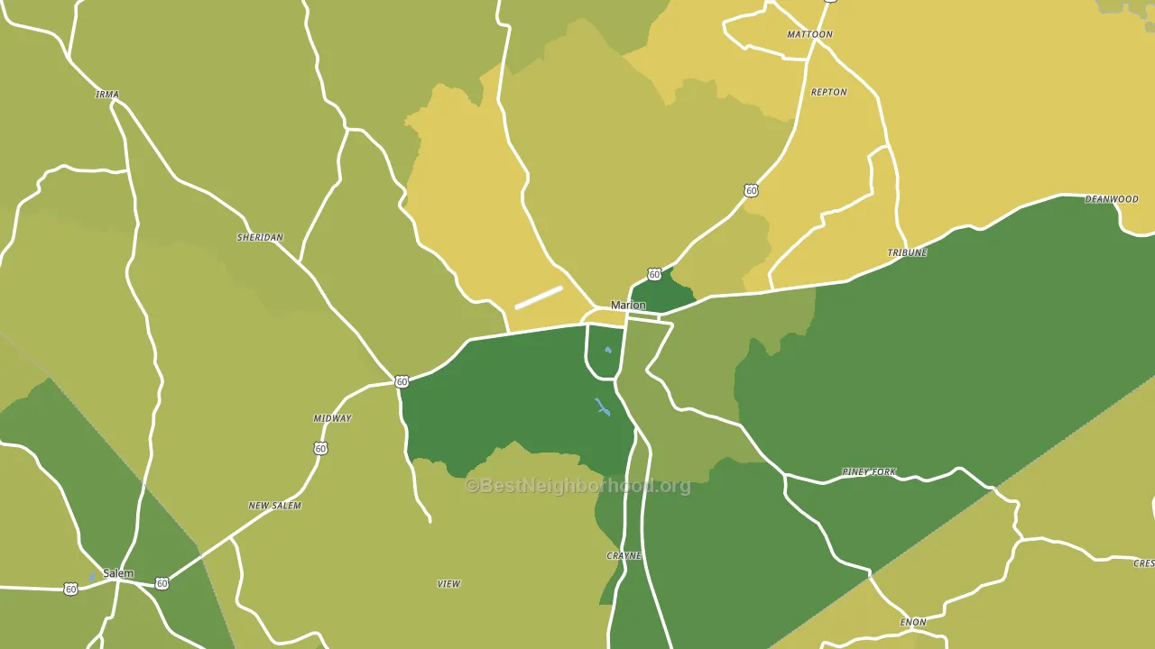 Marion, KY block-group voter-turnout map