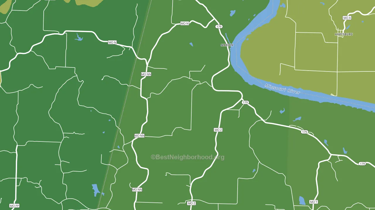 Marion, MO block-group voter-turnout map