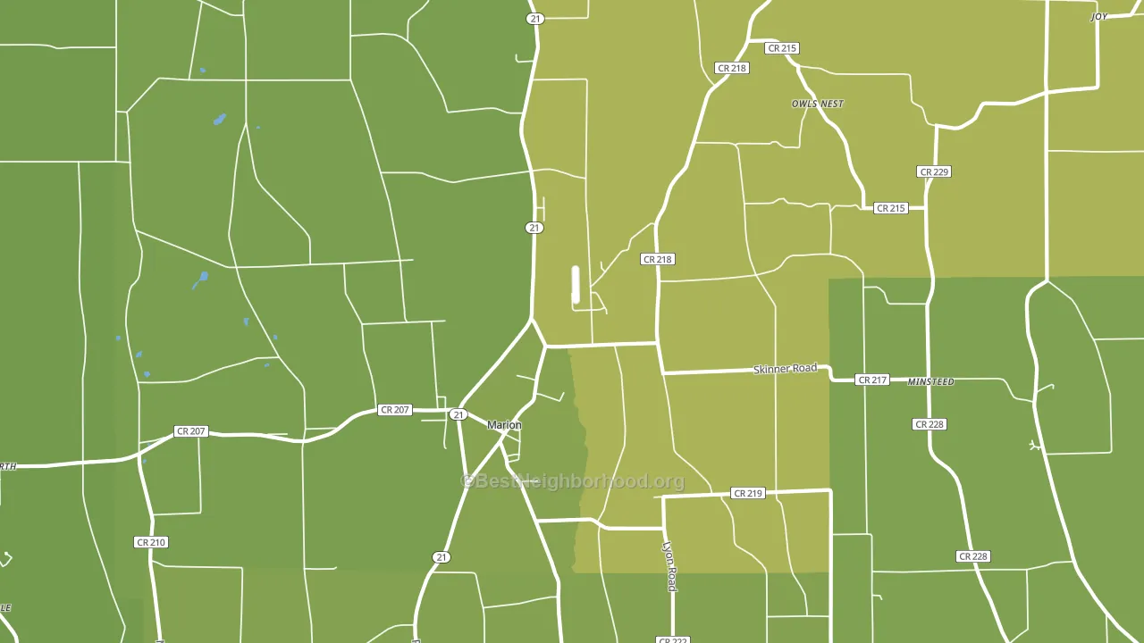 Marion, NY block-group voter-turnout map