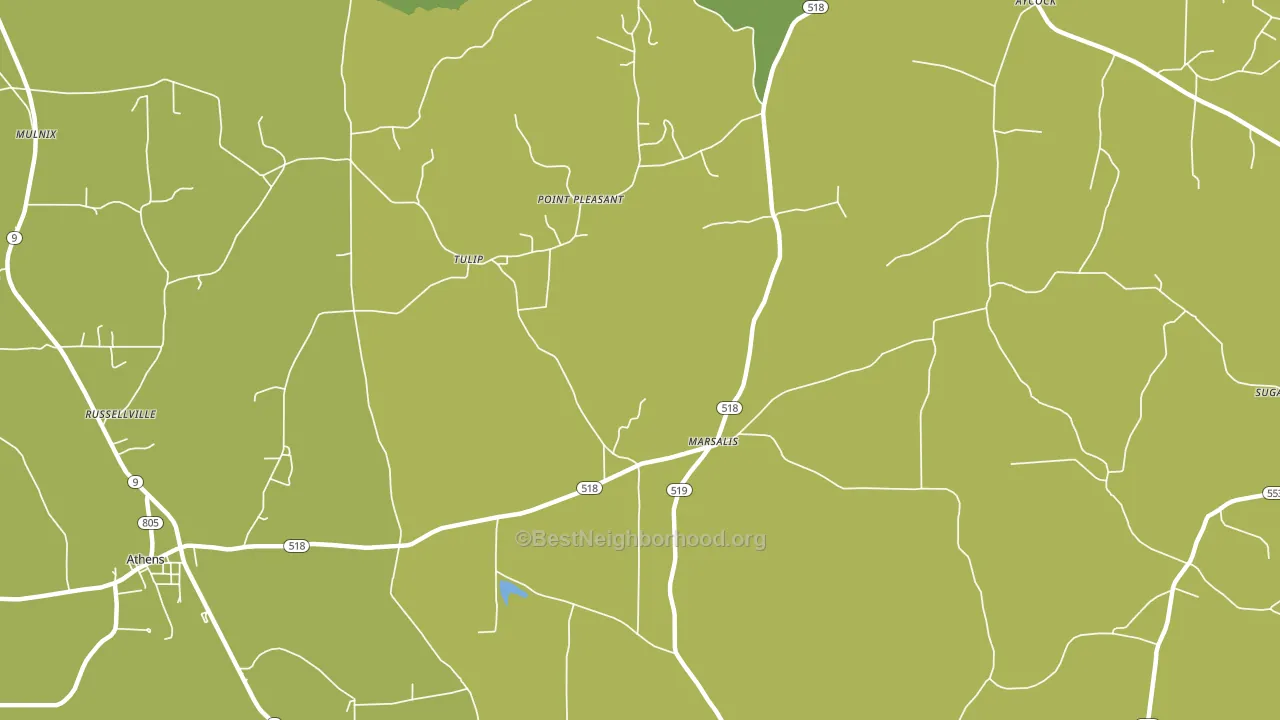 Marsalis, LA block-group voter-turnout map