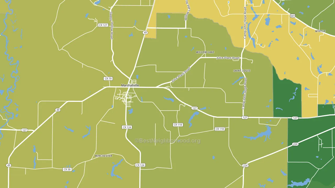 Marshallville, GA block-group voter-turnout map