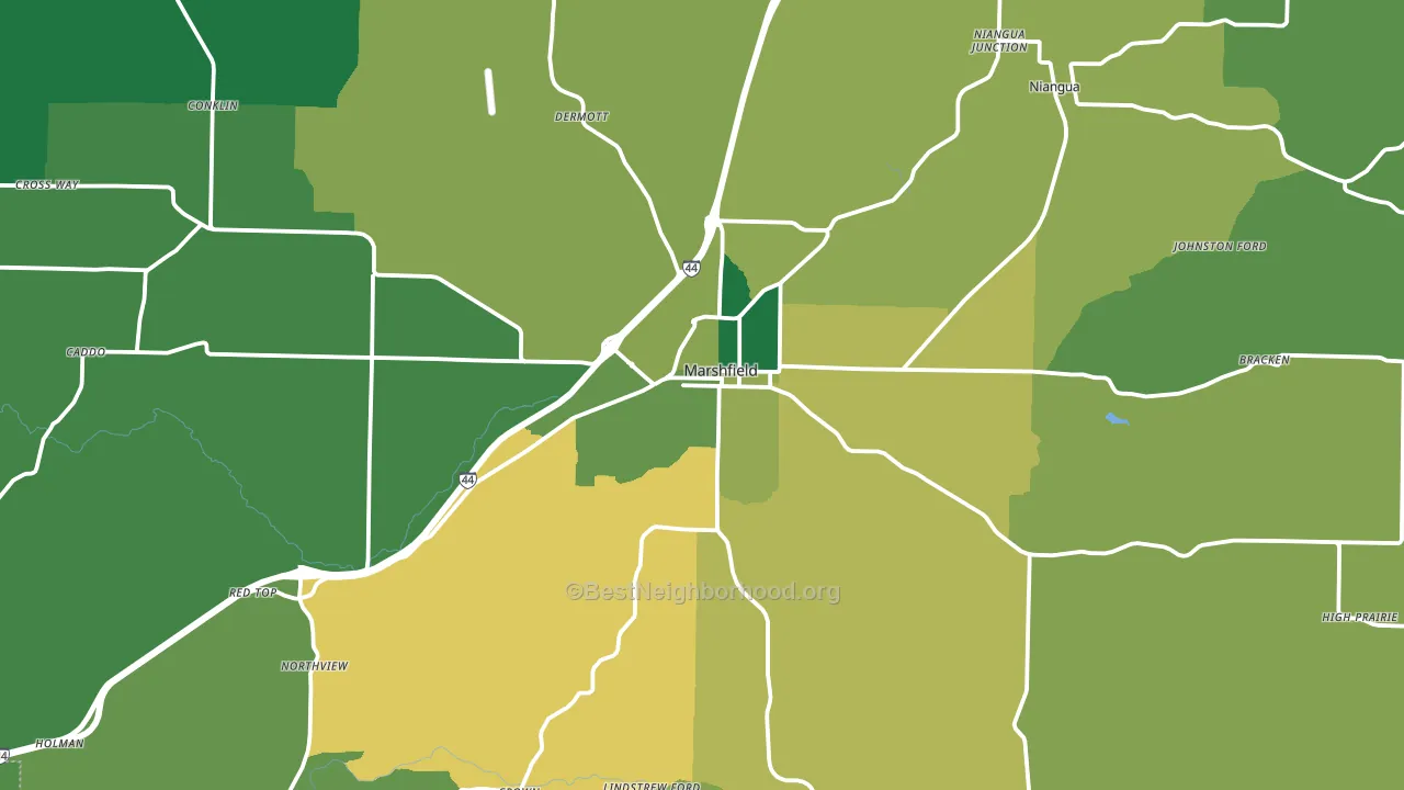 Marshfield, MO block-group voter-turnout map