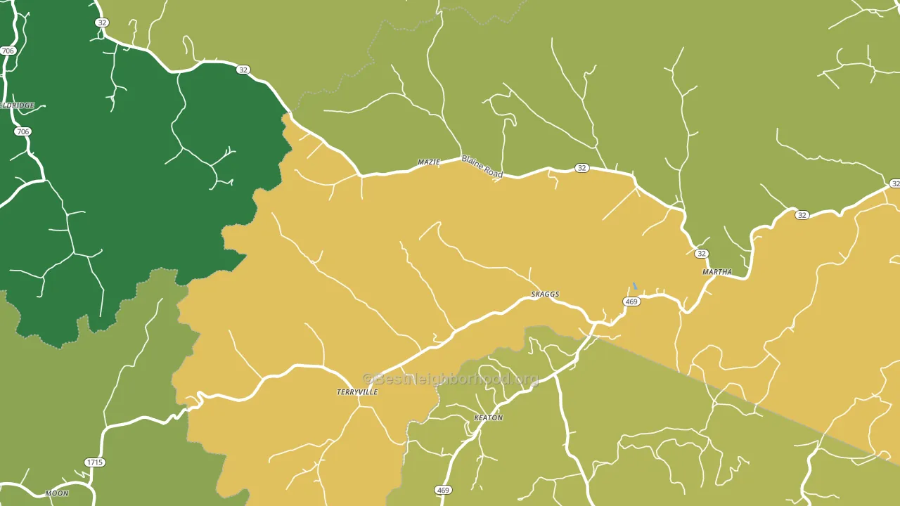 Martha, KY block-group voter-turnout map