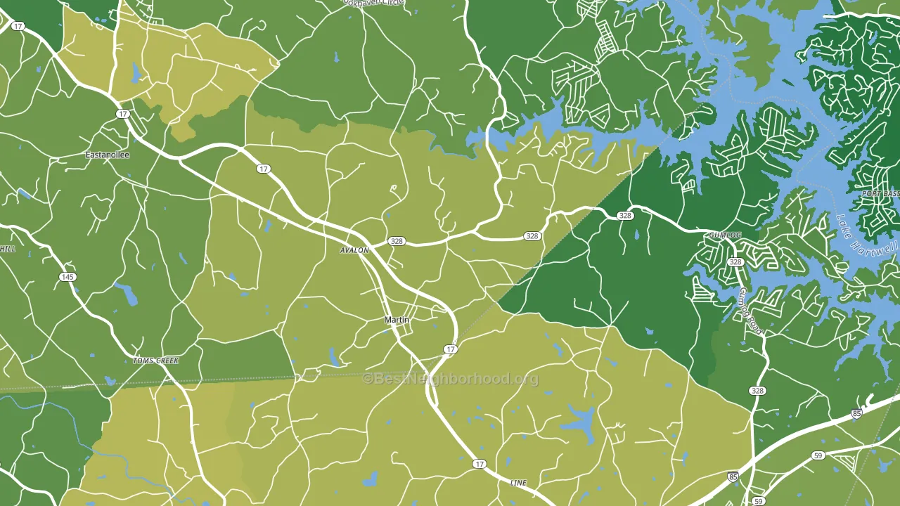 Martin, GA block-group voter-turnout map