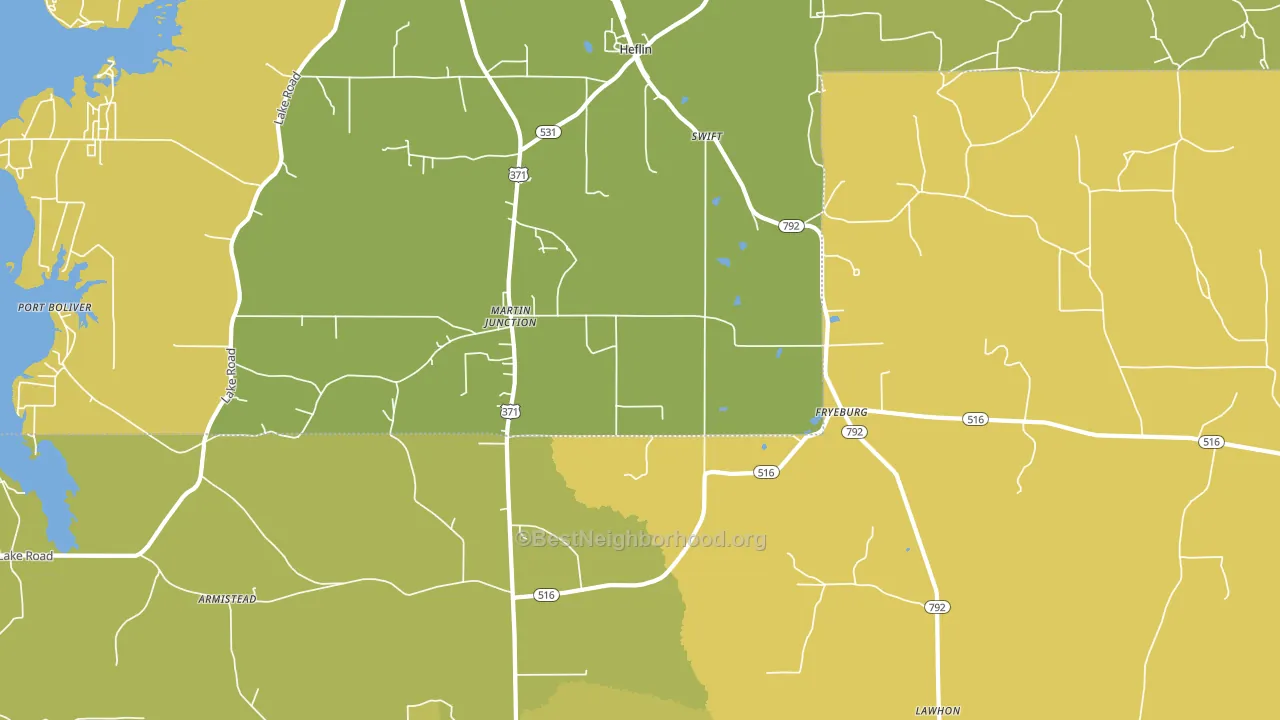 Martin Junction, LA block-group voter-turnout map