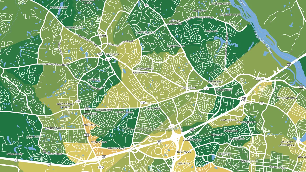 Martinez, GA block-group voter-turnout map