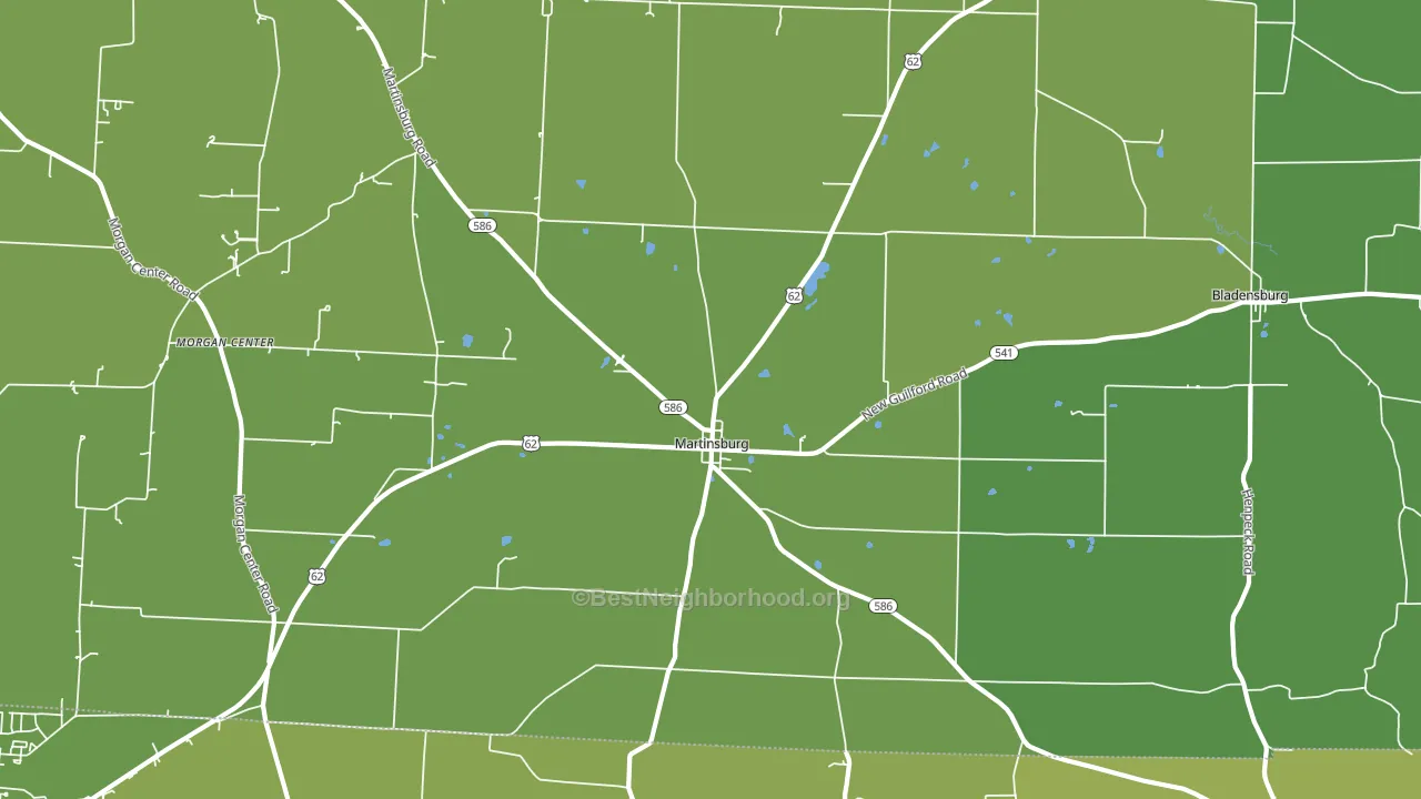 Martinsburg, OH block-group voter-turnout map