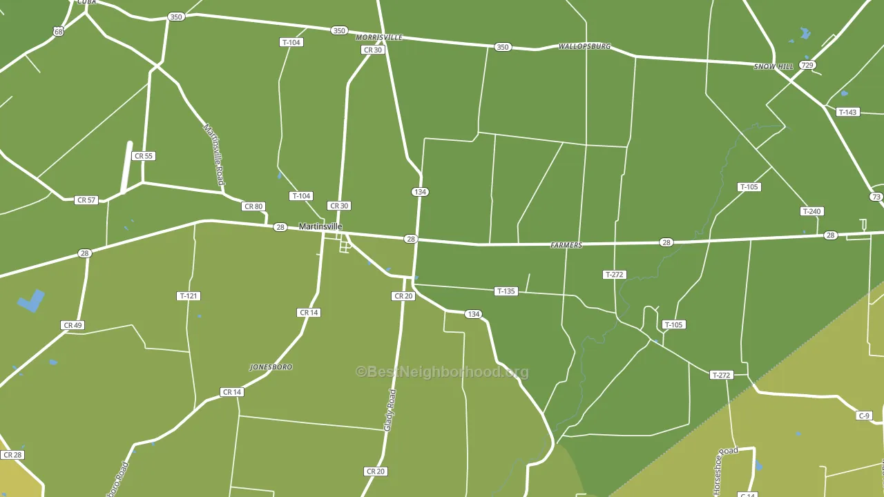 Martinsville, OH block-group voter-turnout map