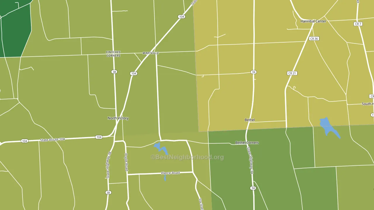 Martville, NY block-group voter-turnout map
