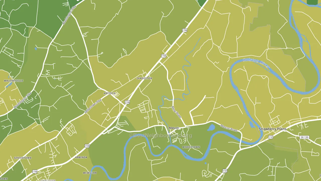 Mascot, TN block-group voter-turnout map