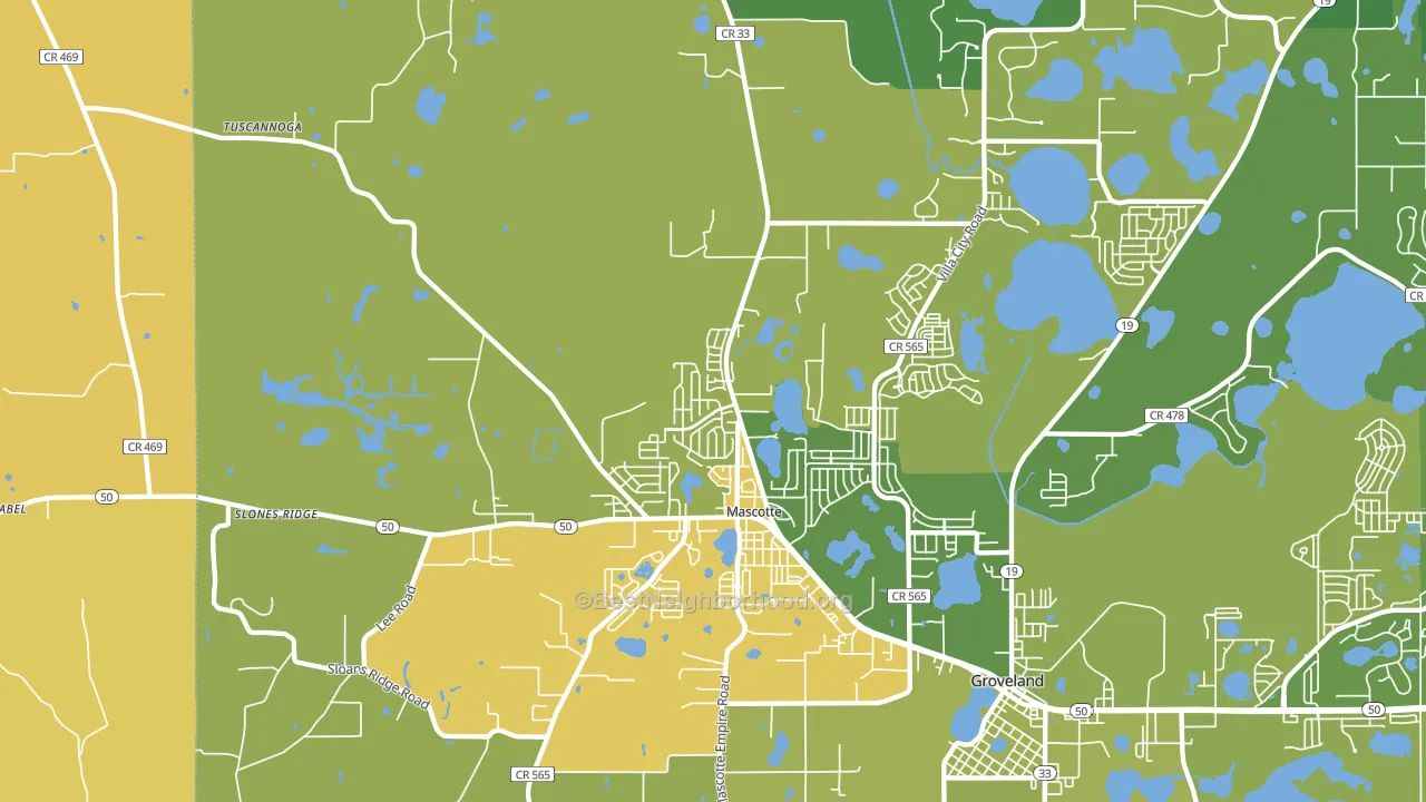 Mascotte, FL block-group voter-turnout map